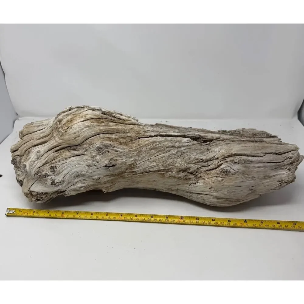 Large White Weathered Driftwood Log Sculpture – Natural Coastal Decor Statement